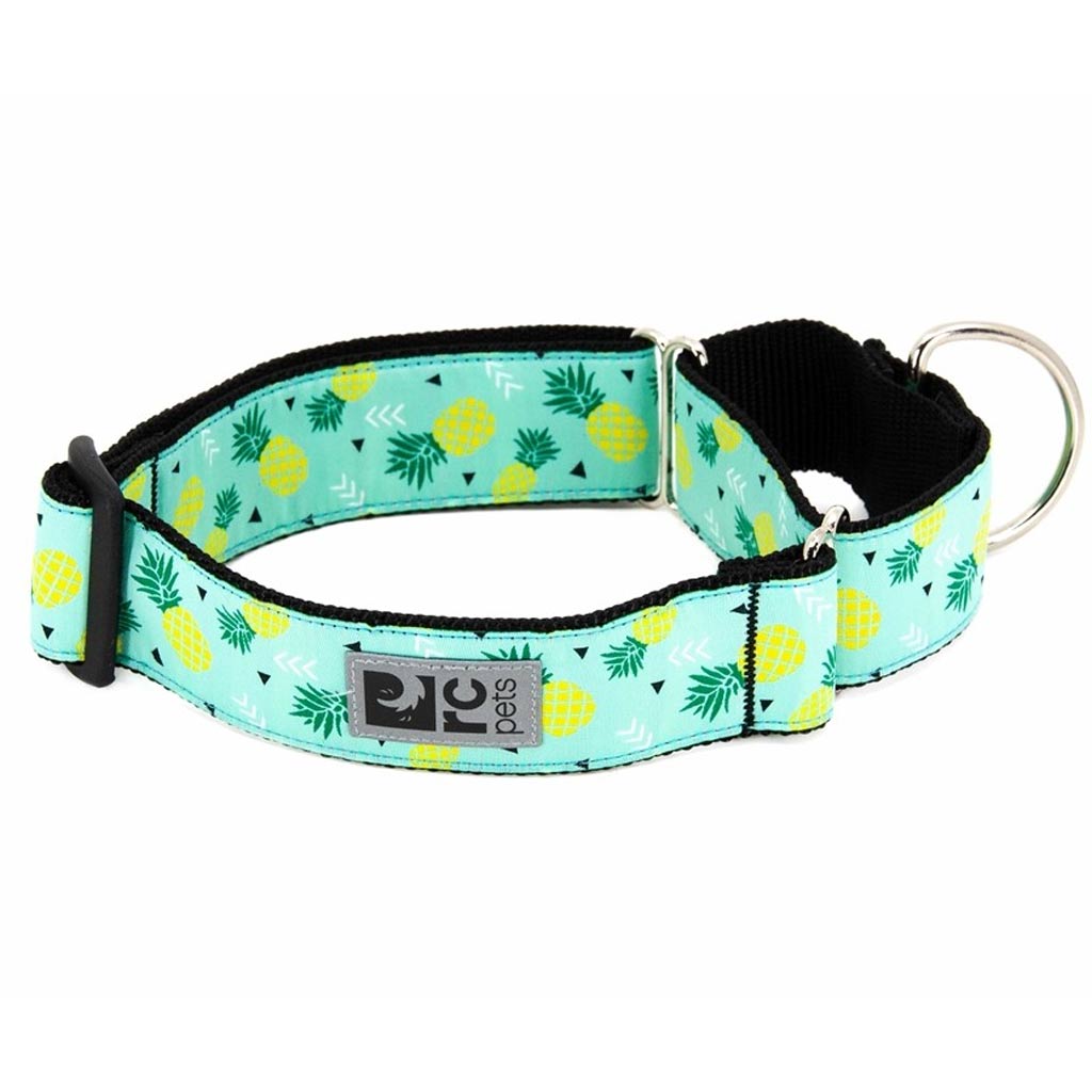 DMB - RC PETS EASY CLIP WEB TRNG COLLAR SM PINEAPPLE PARADE
