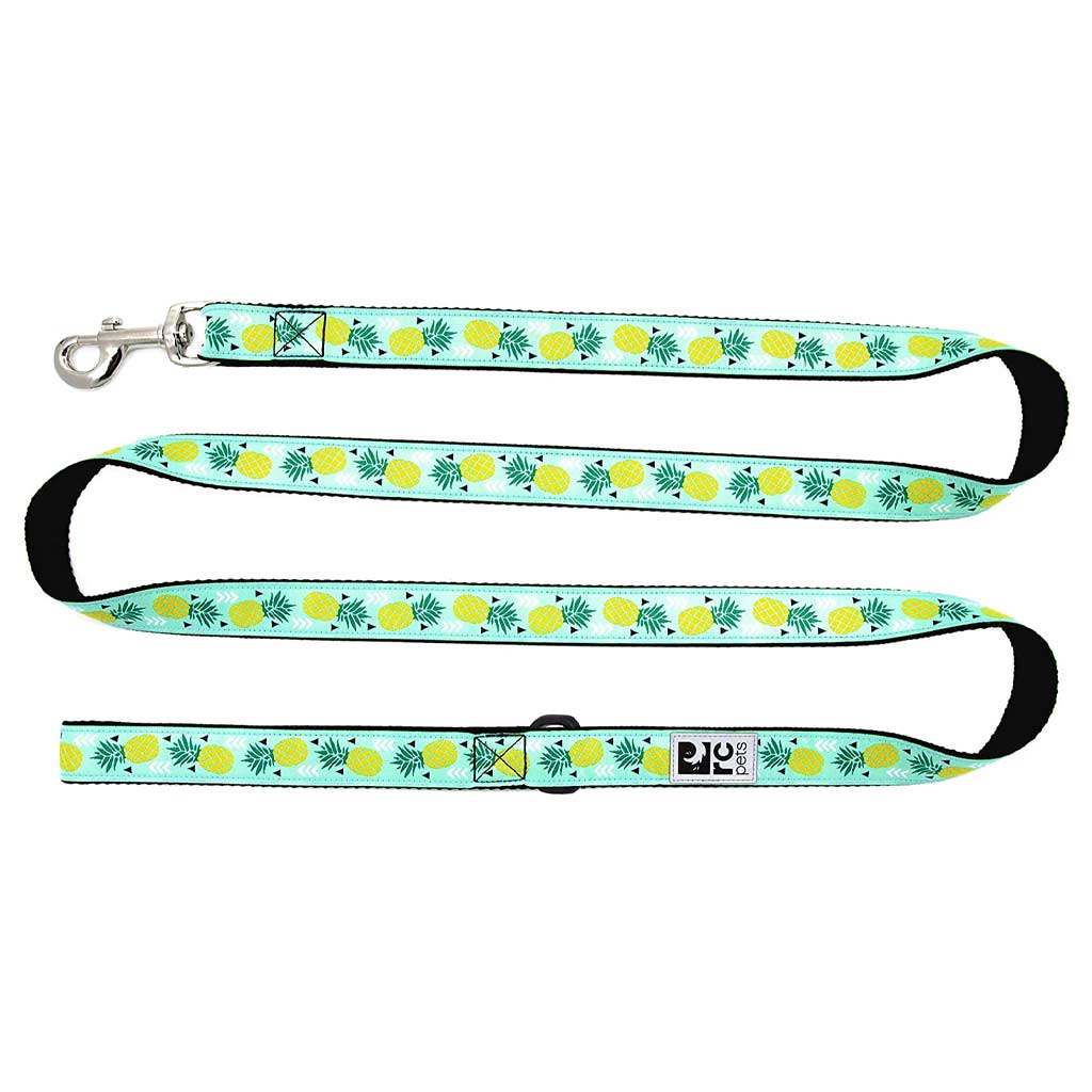 DMB - RC PET LEASH 1&quot;X6' PINEAPPLE PARADE