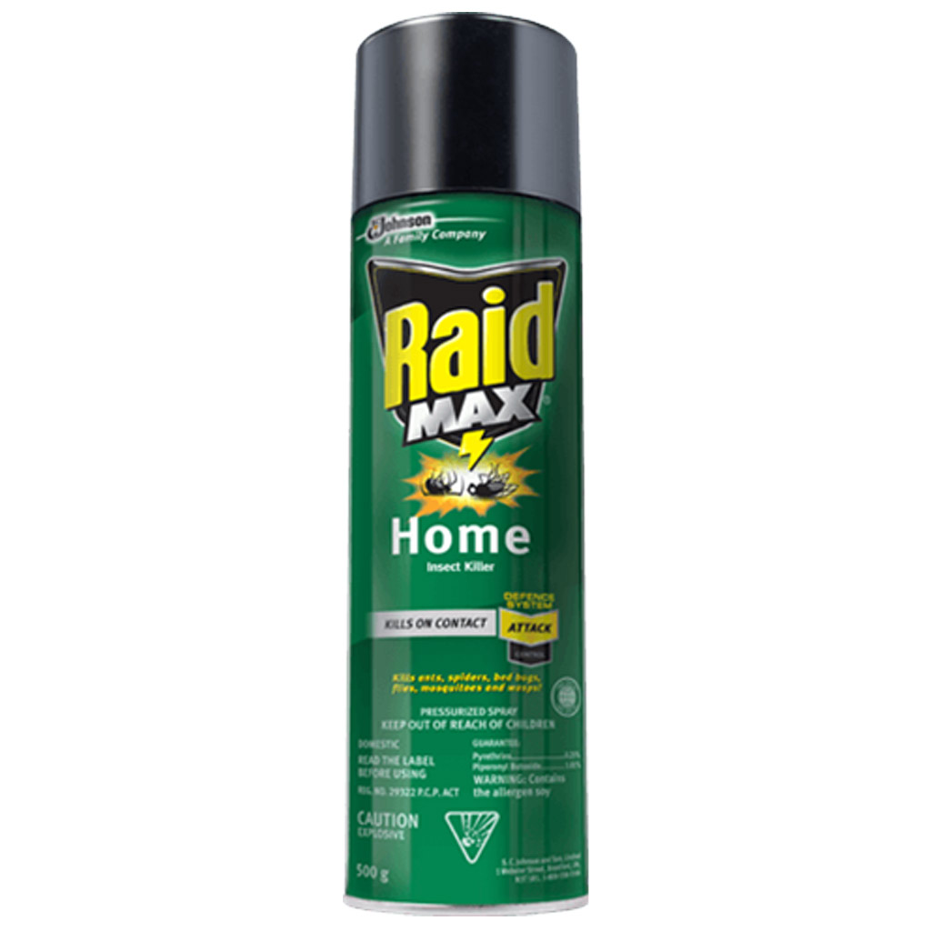 RAID MAX HOME INSECT KILLER CAN 500G