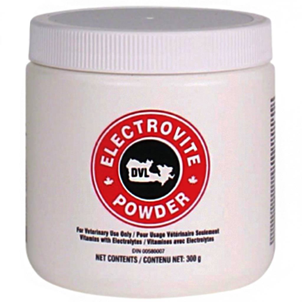 DVL ELECTROVITE POWDER 300G