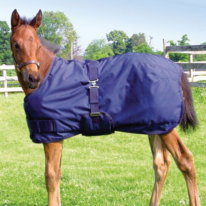 CANADIAN HORSEWEAR TURNOUT BLANKET 600D FOAL &amp; MINI (38&quot;-45&quot;)