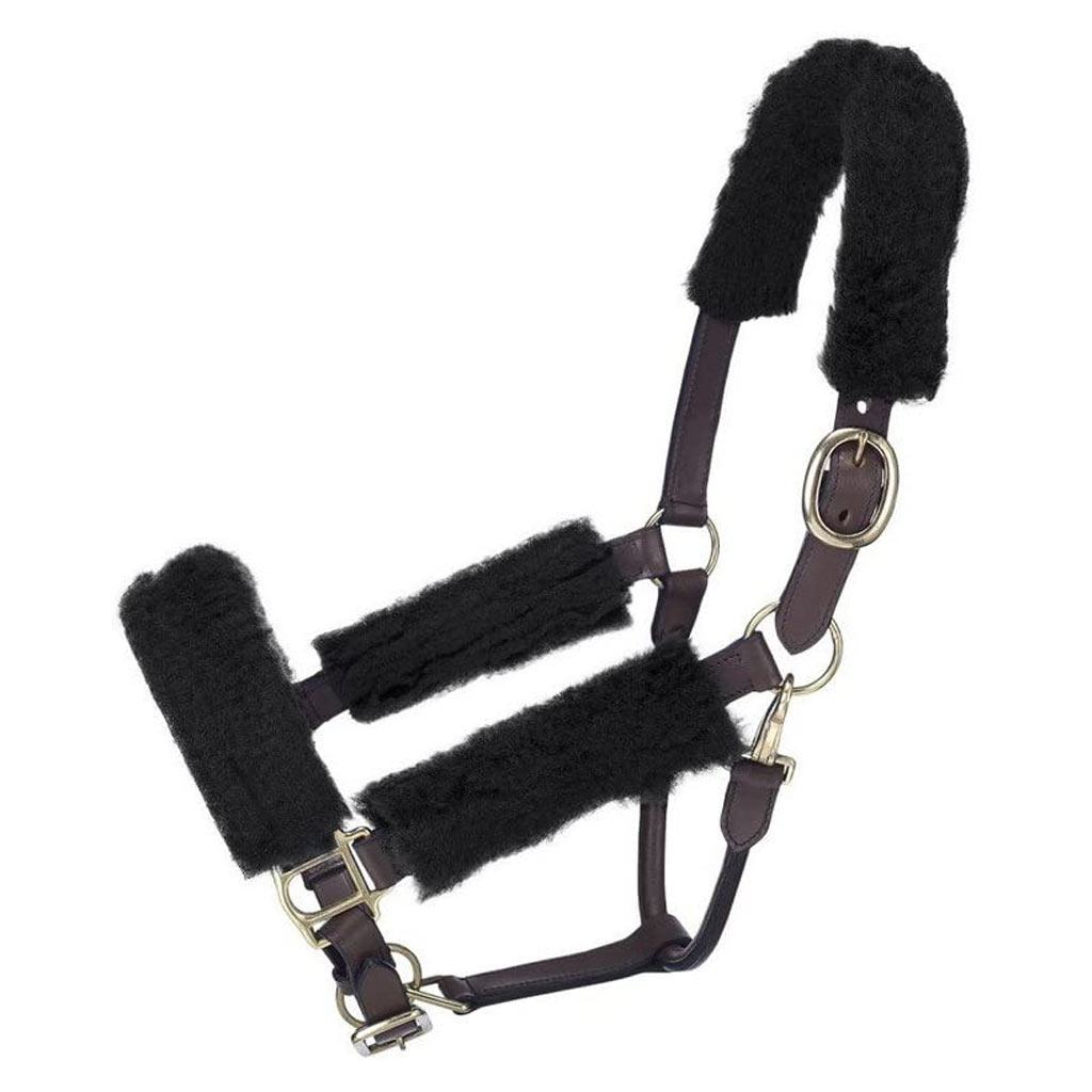 DV - TOUGH 1 HALTER FUZZY SET-BLACK 4PC