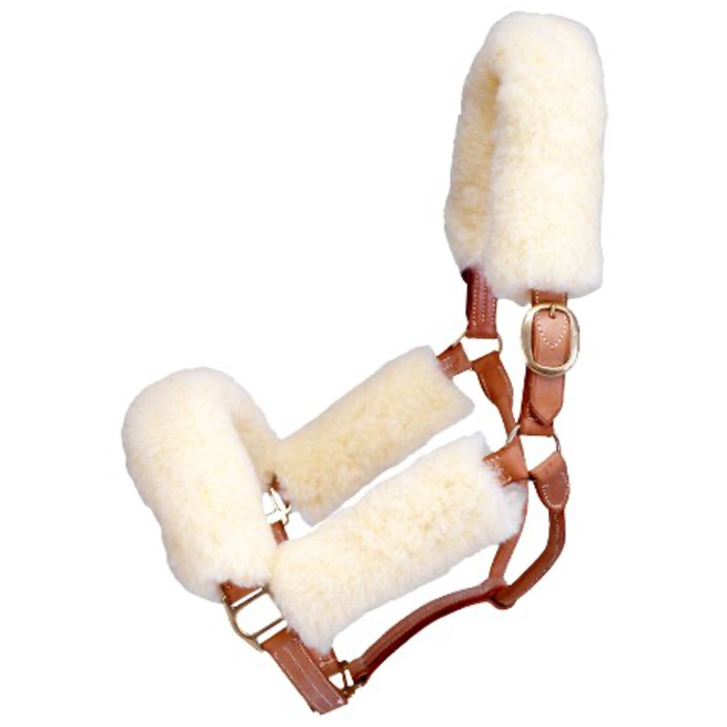 DV - TOUGH 1 HALTER FUZZY SET-NATURAL WHITE 4PC