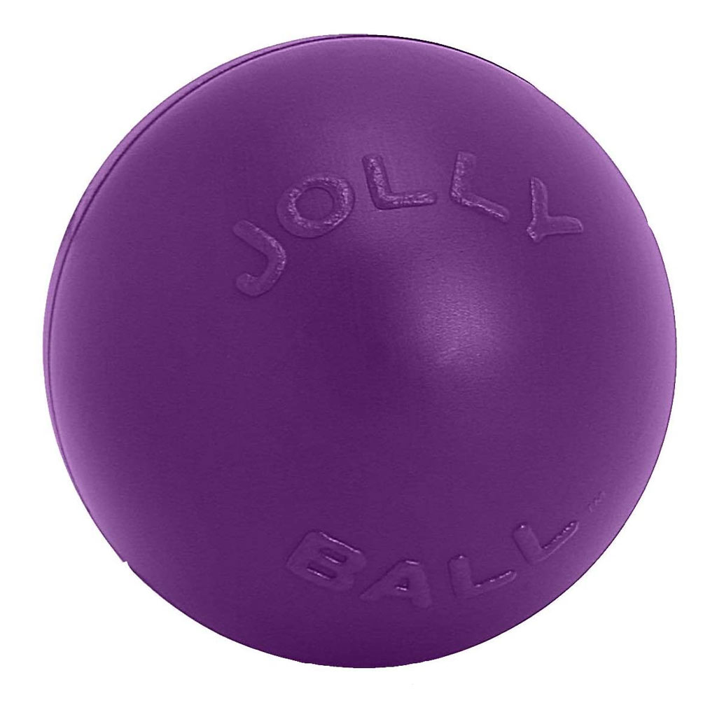 DV - JOLLY BALL PUSH-N-PLAY PURPLE 6&quot;