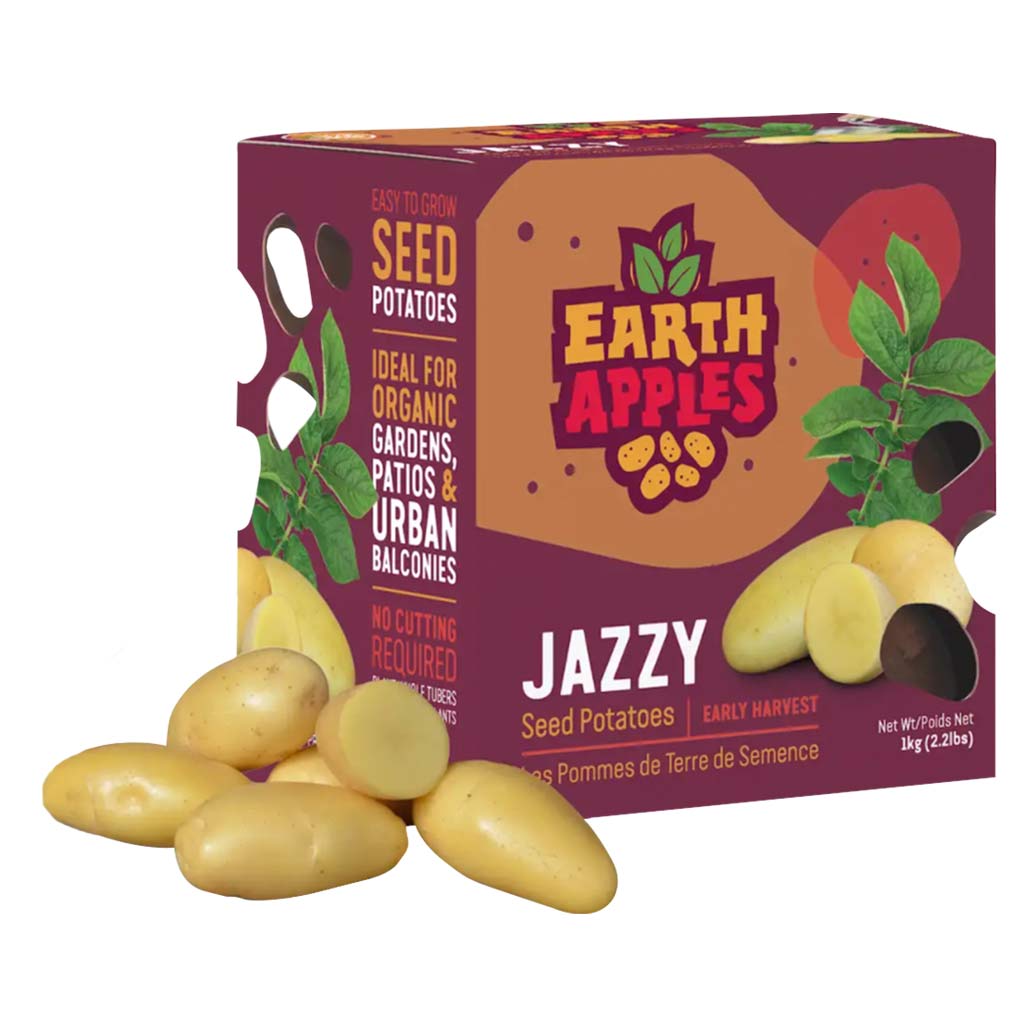 EARTH APPLES JAZZY SEED POTATOES 2.2LBS