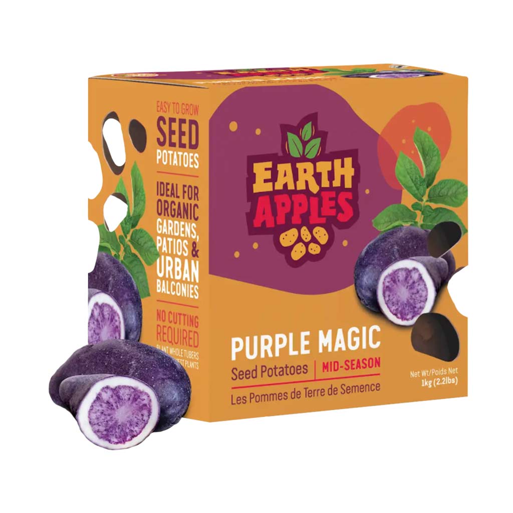 EARTH APPLES PURPLE MAGIC SEED POTATOES 2.2LBS 