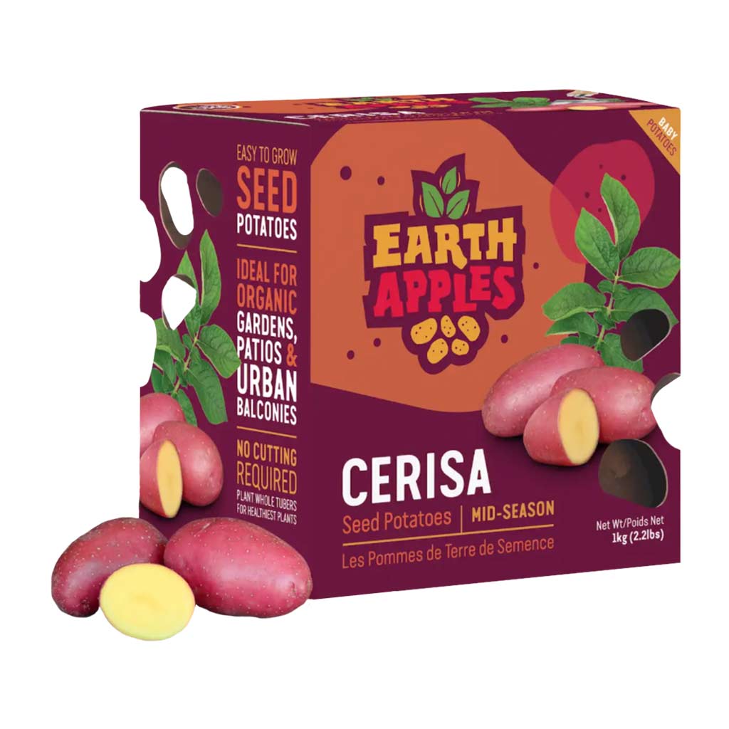 EARTH APPLES CERISA SEED POTATOES 2.2LBS 