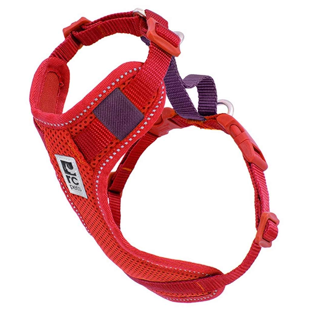 RC PETS MOTO CONTROL HARNESS BERRY/BURGUNDY XS