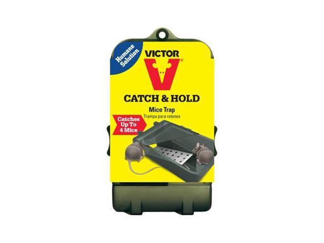 VICTOR MOUSE TRAP CATCH &amp; HOLD LIVE (1PK) M333TRI