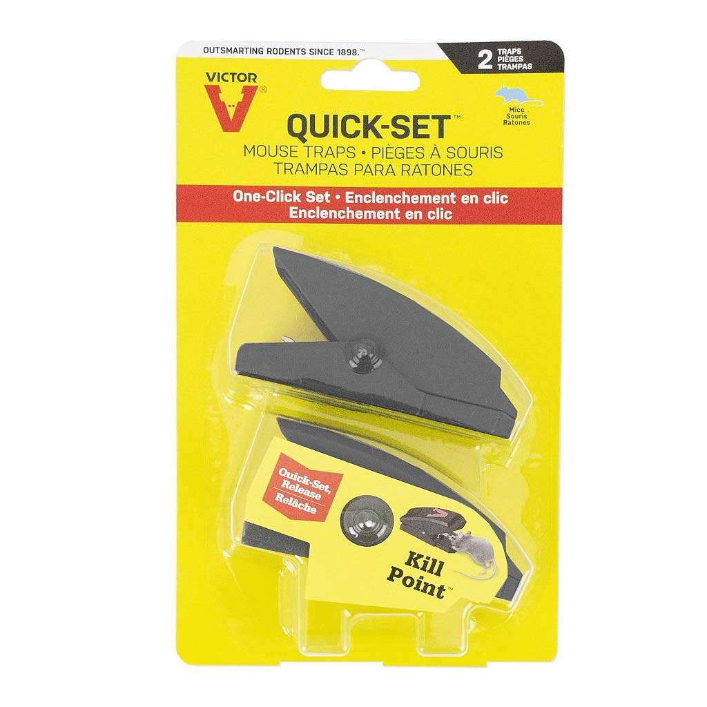 VICTOR MOUSE TRAP QUICK SET PLASTIC (2PK) M137B