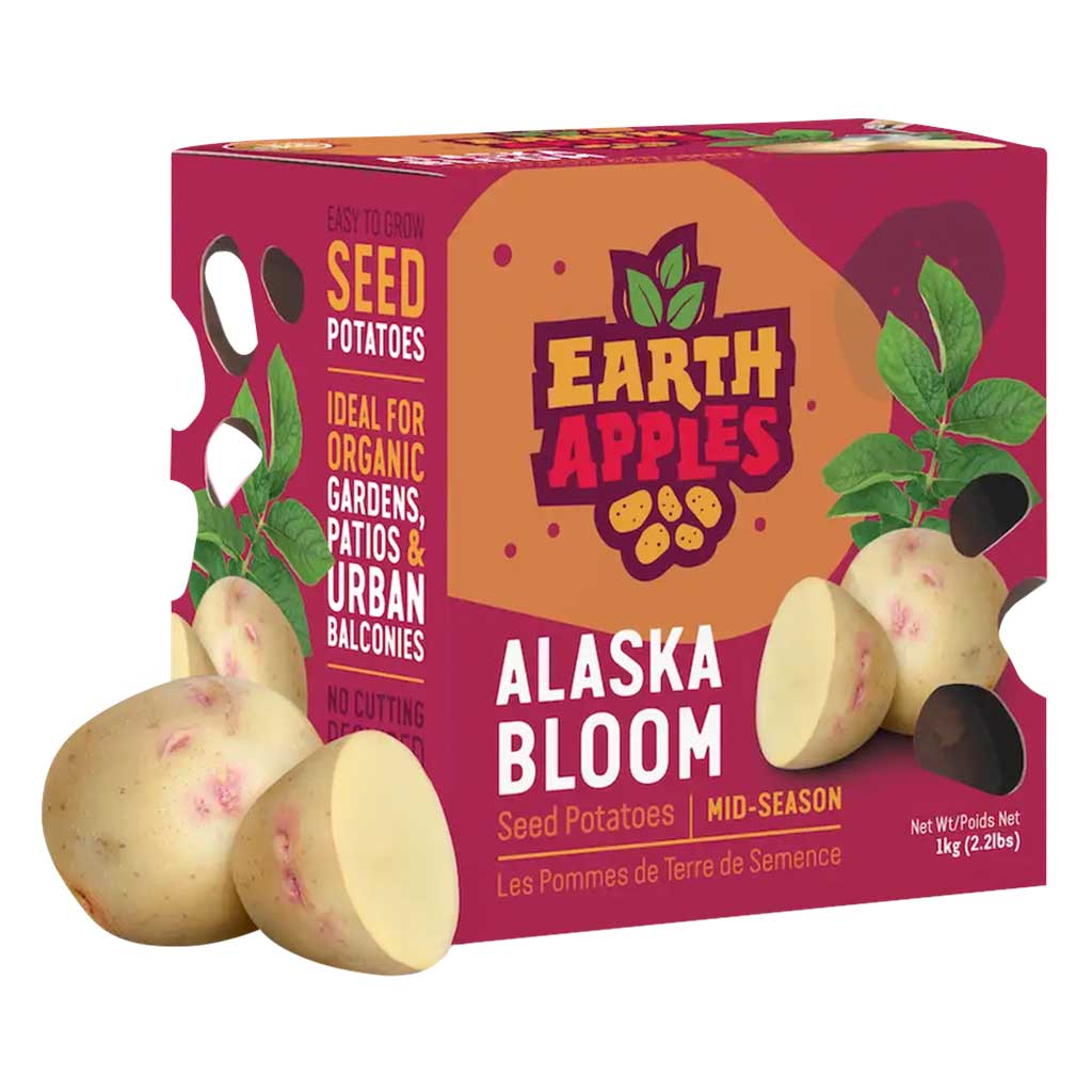 DMB - EARTH APPLES ALASKA BLOOM SEED POTATOES 2.2LBS