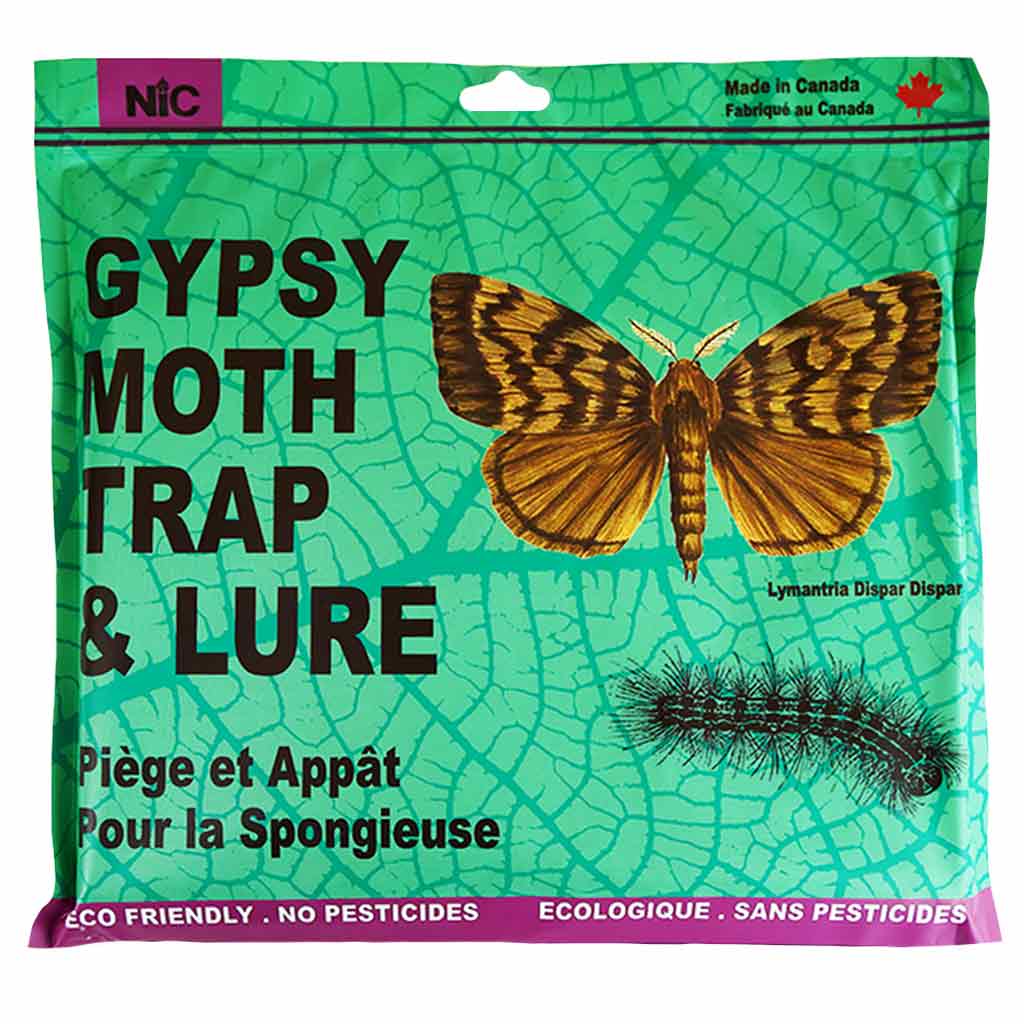 DMB - NIC SPONGY (GYPSY) MOTH TRAP 1/PK