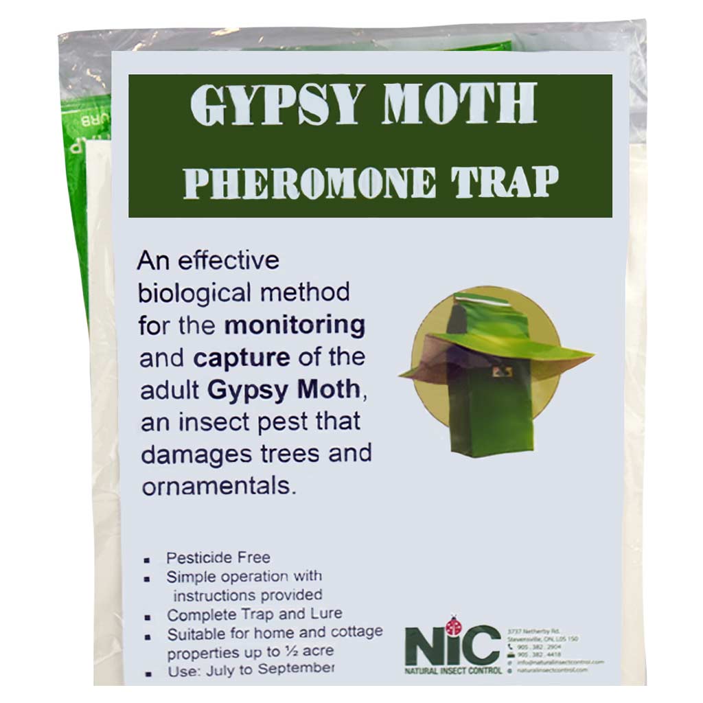 DMB - NIC SPONGY (GYPSY) MOTH TRAP 5/PK