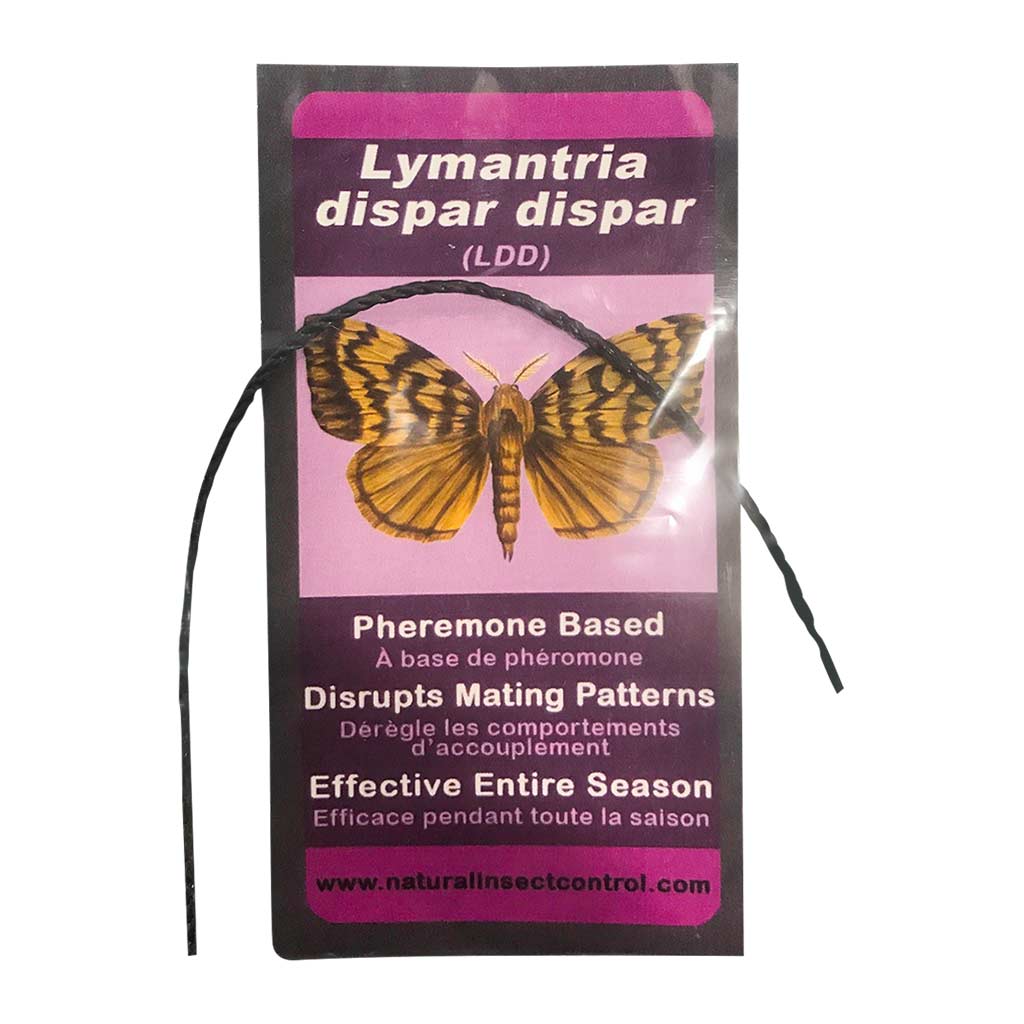 DMB - NIC SPONGY (GYPSY) MOTH REPLACEMENT LURE