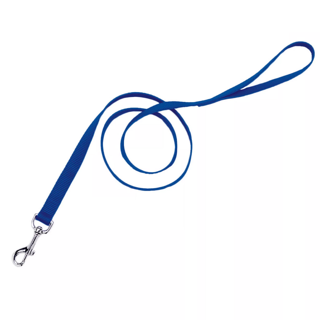 COASTAL SINGLE PLY DOG LEASH BLUE 5/8&quot;X6'