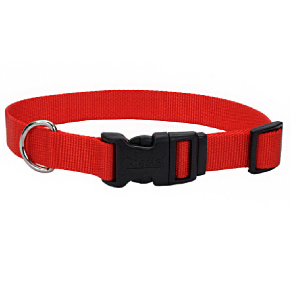 COASTAL ADJUSTABLE DOG COLLAR PLASTIC BUCKLE RED 3/8&quot;X8-12&quot;