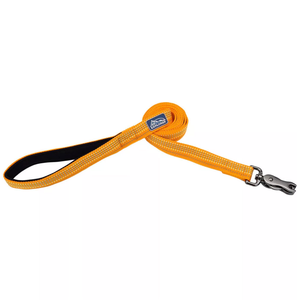 COASTAL K9 EXPLORER REFLECTIVE LEASH DESERT 1"X6'