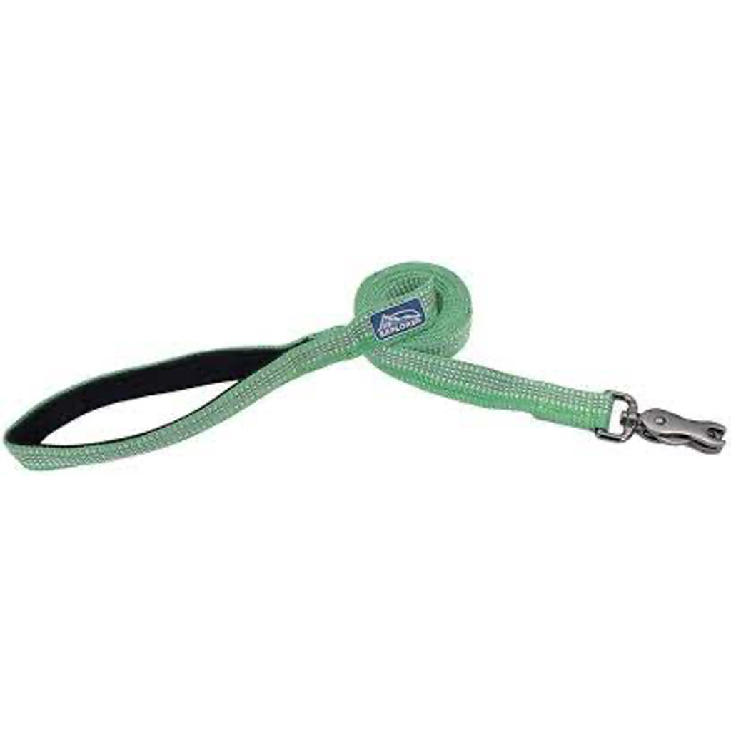 COASTAL K9 EXPLORER REFLECTIVE LEASH MEADOW 1&quot;X6'