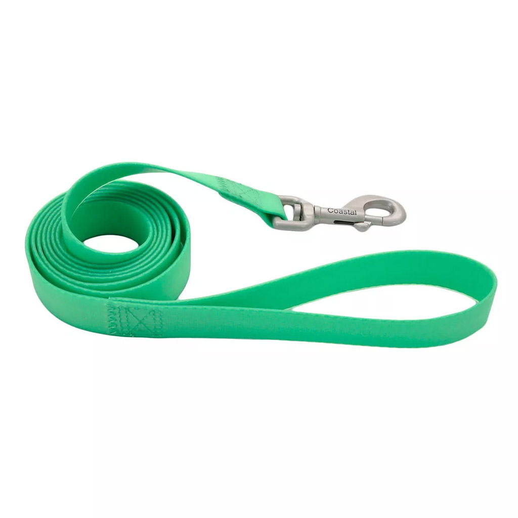 COASTAL PRO ADJ WATERPROOF LEASH LIME 3/4&quot;X6'