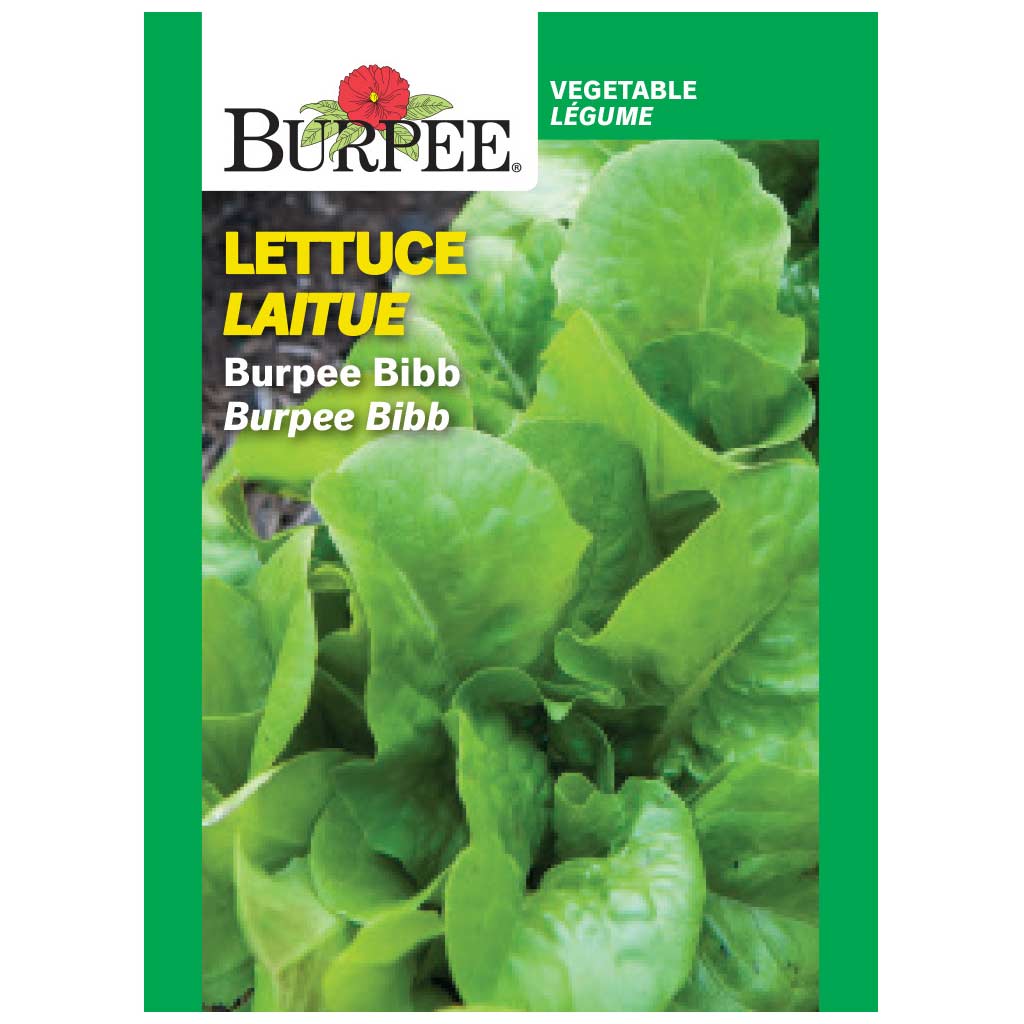 BURPEE LETTUCE - BIBB