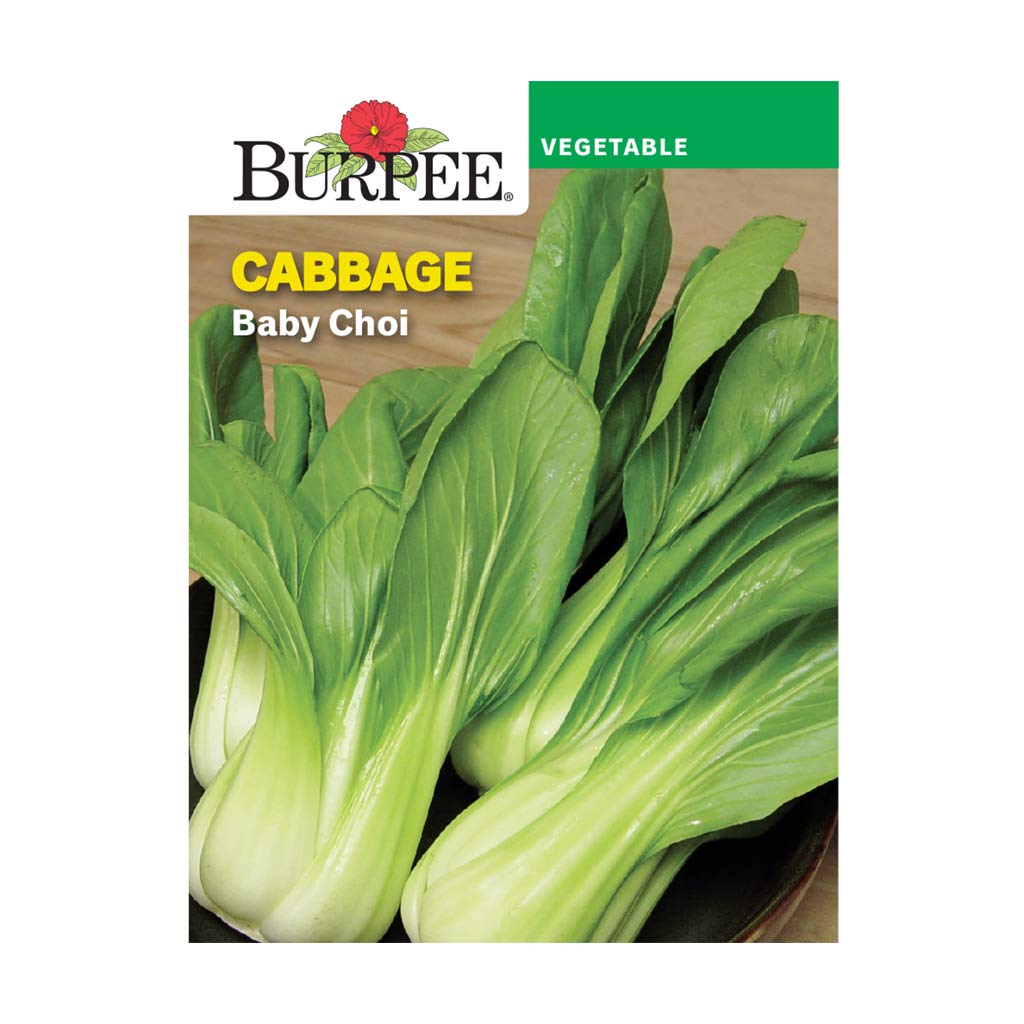 BURPEE CABBAGE - BABY CHOI