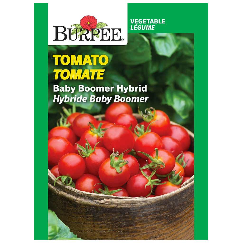 BURPEE TOMATO - BABY BOOMER HYBRID