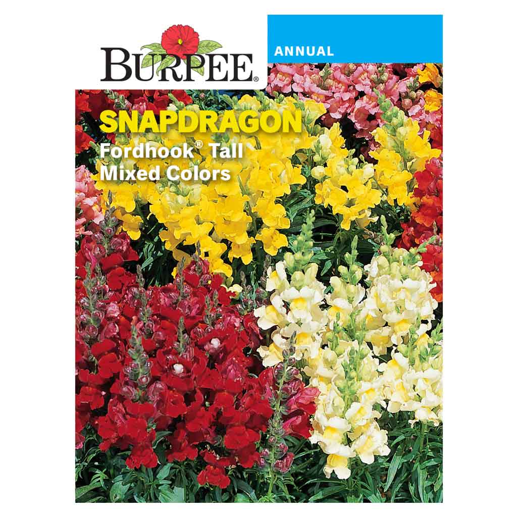 BURPEE SNAPDRAGON - FORDHOOK FAVOURITES MIXED COLOURS 