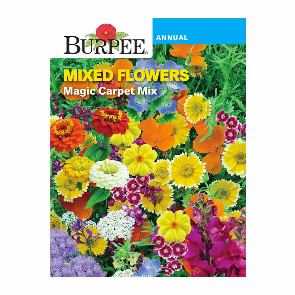 BURPEE MIXED FLOWERS - MAGIC CARPET MIX