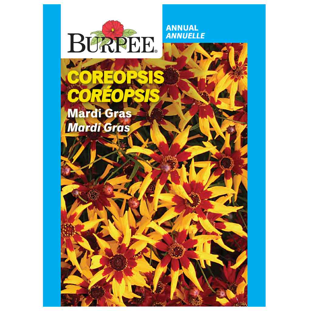 BURPEE COREOPSIS