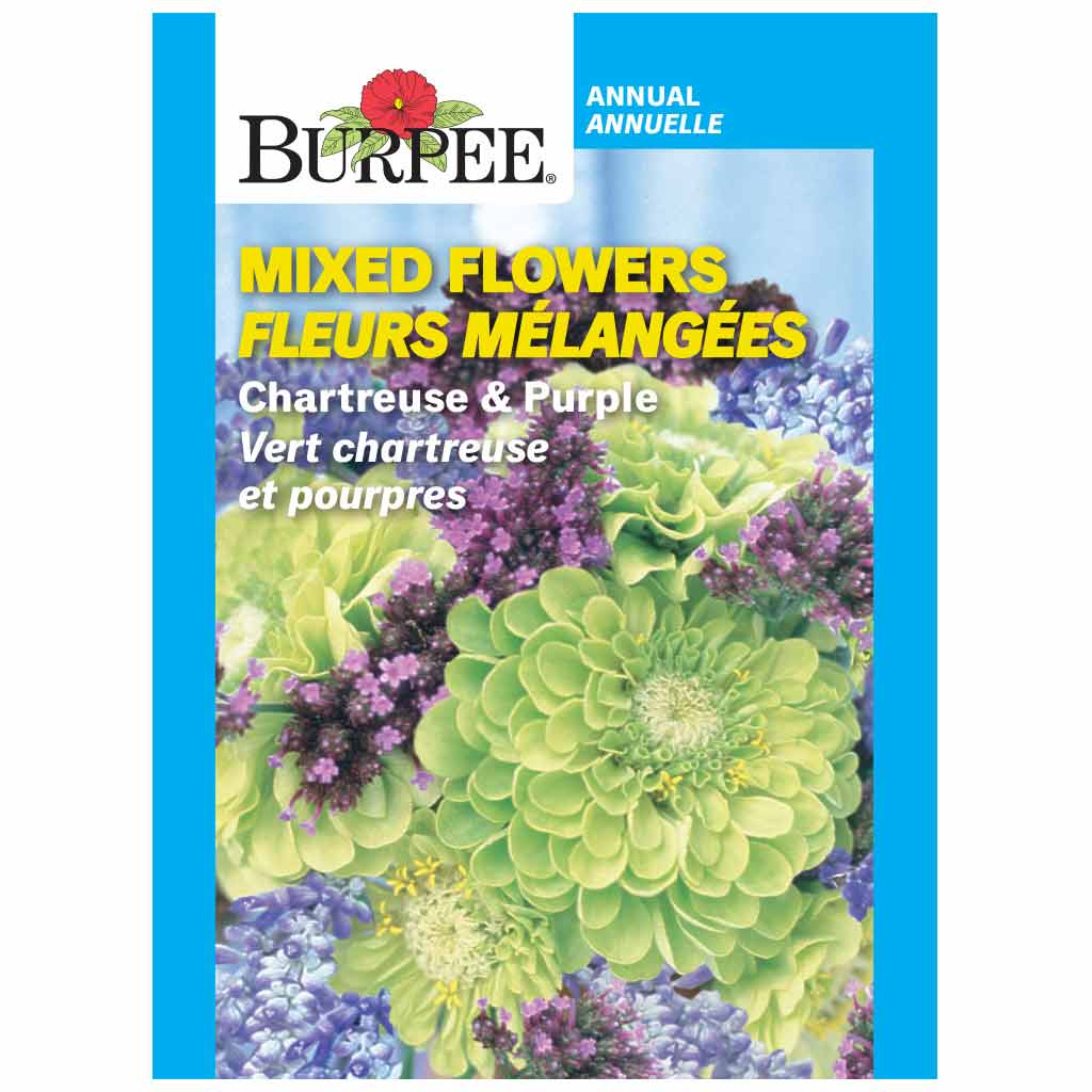 BURPEE MIXED FLOWERS - CHARTREUSE &amp; PURPLE