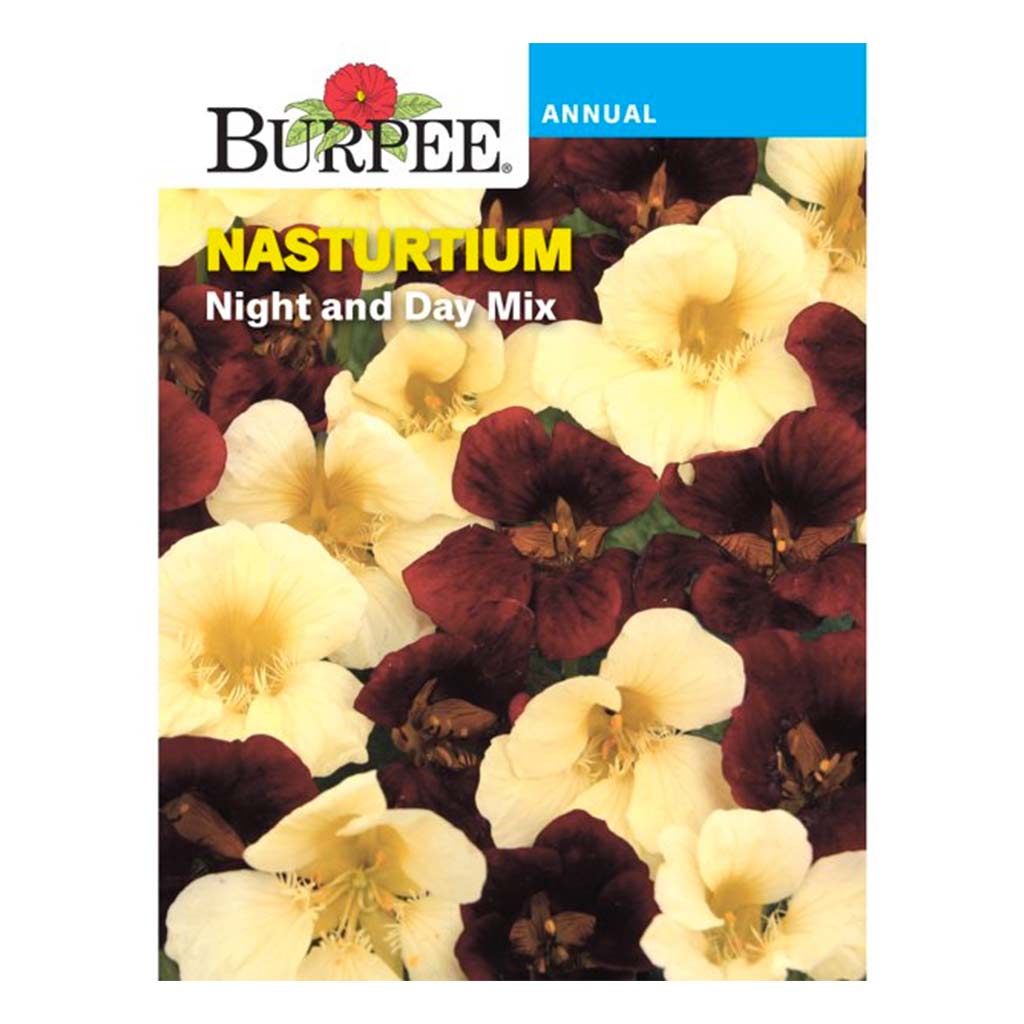 BURPEE NASTURTIUM - NIGHT AND DAY MIX