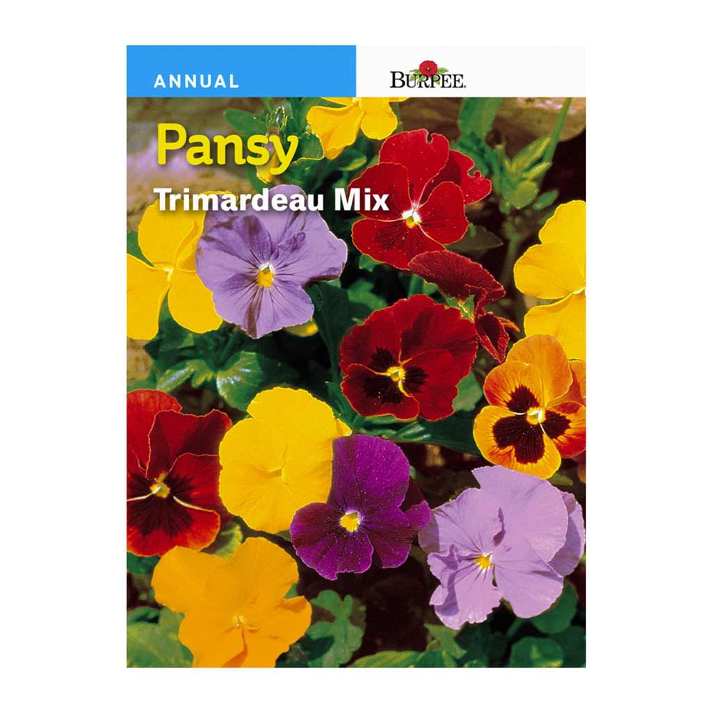 BURPEE PANSY- TRIMARDEAU MIXED COLOURS
