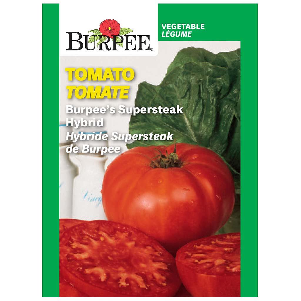 BURPEE TOMATO - BURPEE'S SUPERSTEAK HYBRID