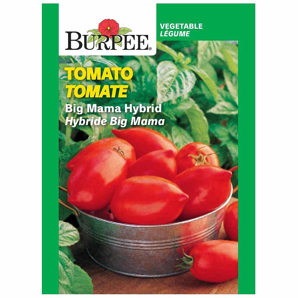 BURPEE TOMATO - BIG MAMA HYBRID