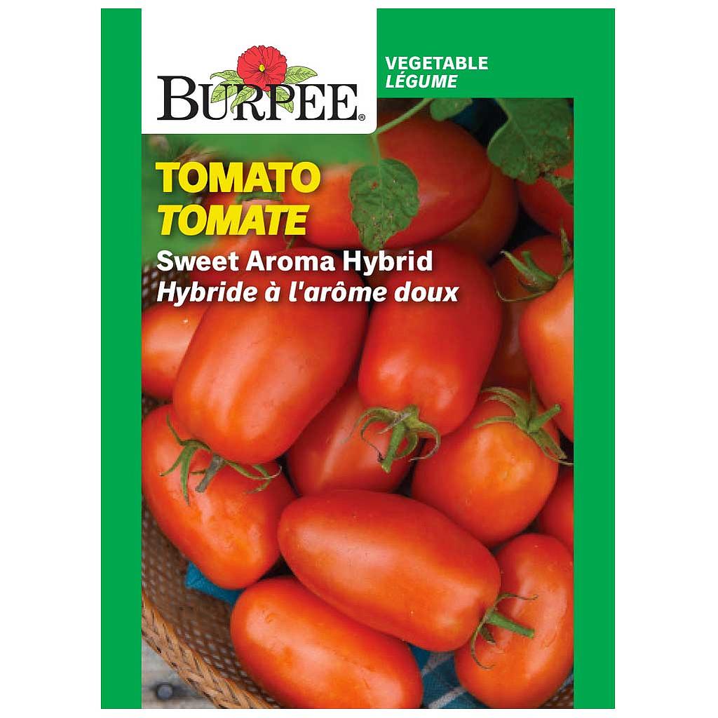 BURPEE TOMATO - SWEET AROMA HYBRID