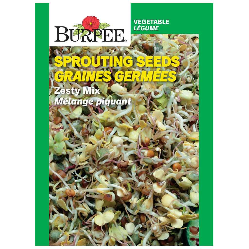 BURPEE SPROUTING SEEDS