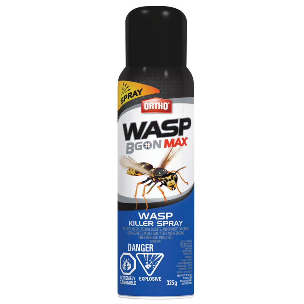 ORTHO WASP B GON MAX SPRAY 400G