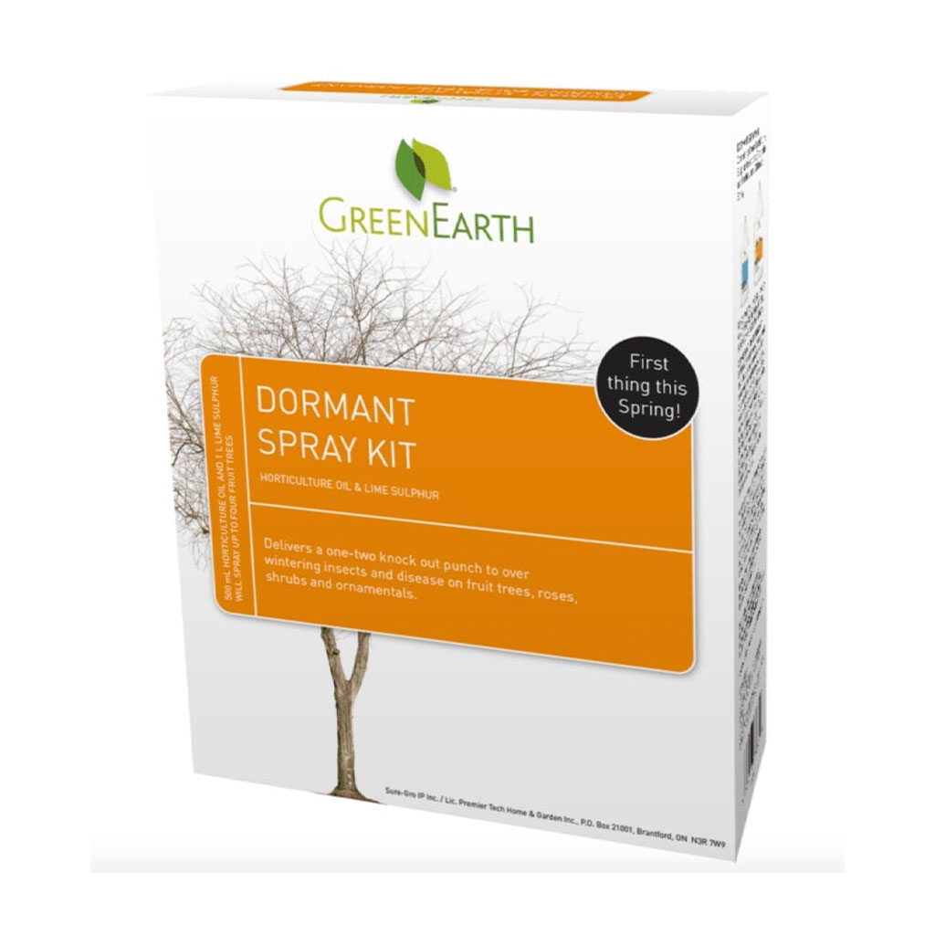 DMB - GREEN EARTH DORMANT OIL 1KIT