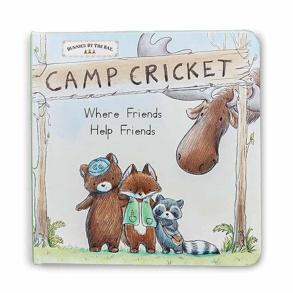 DMB - BBTB CAMP CRICKET BOARD BOOK