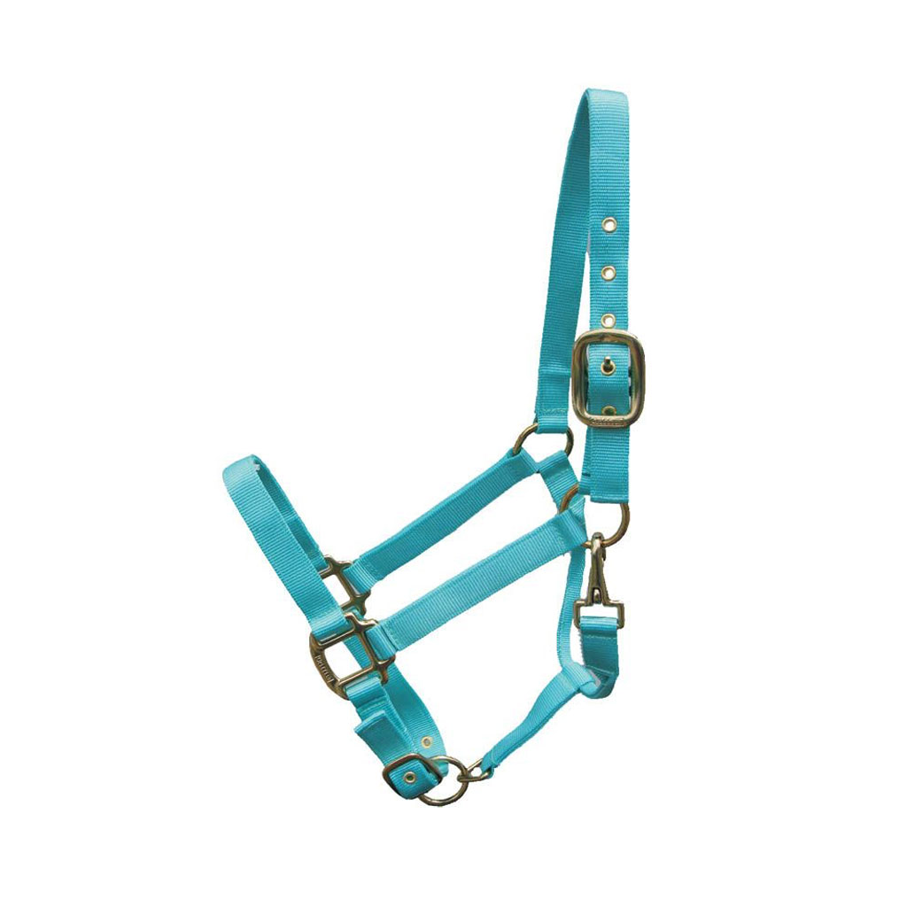 GER-RYAN CANADIAN HORSEWEAR NYLON HALTER YEARLING AQUA