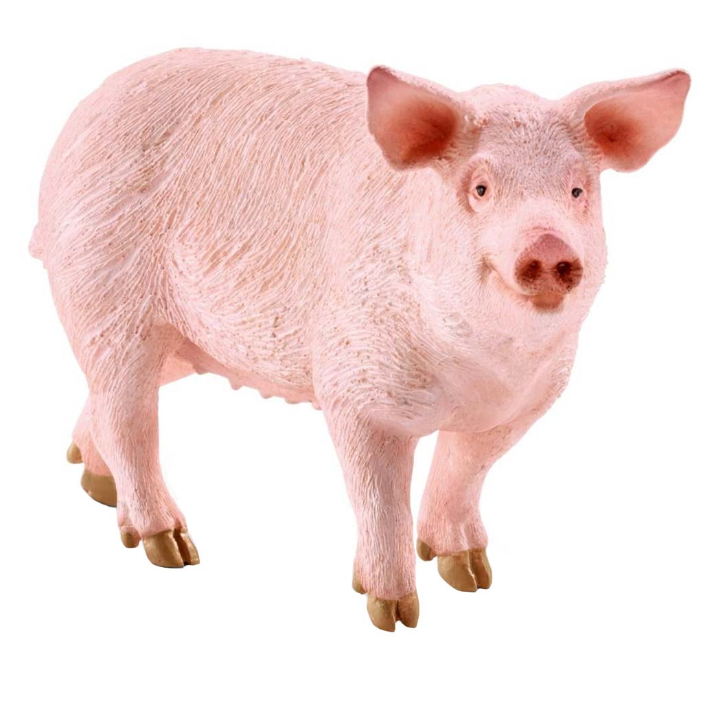 DV - SCHLEICH FW PIG