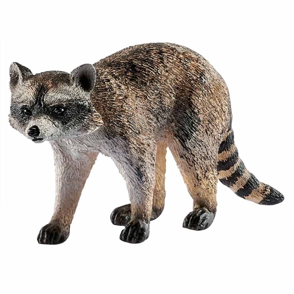 SCHLEICH WL RACCOON