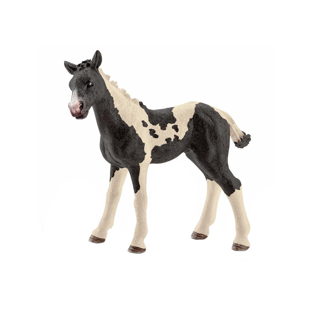 DV - SCHLEICH FW PINTO FOAL