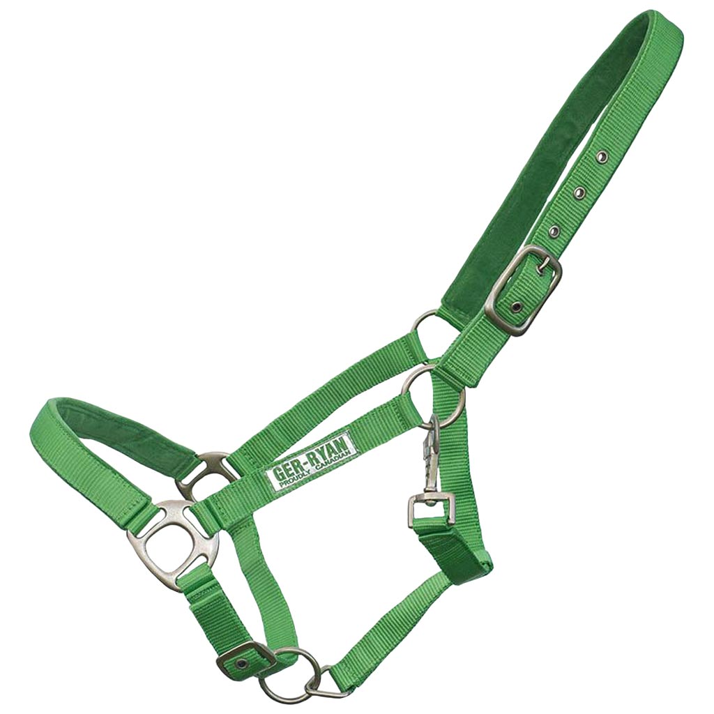 GER-RYAN NYLON HALTER PADDED FULL LIME