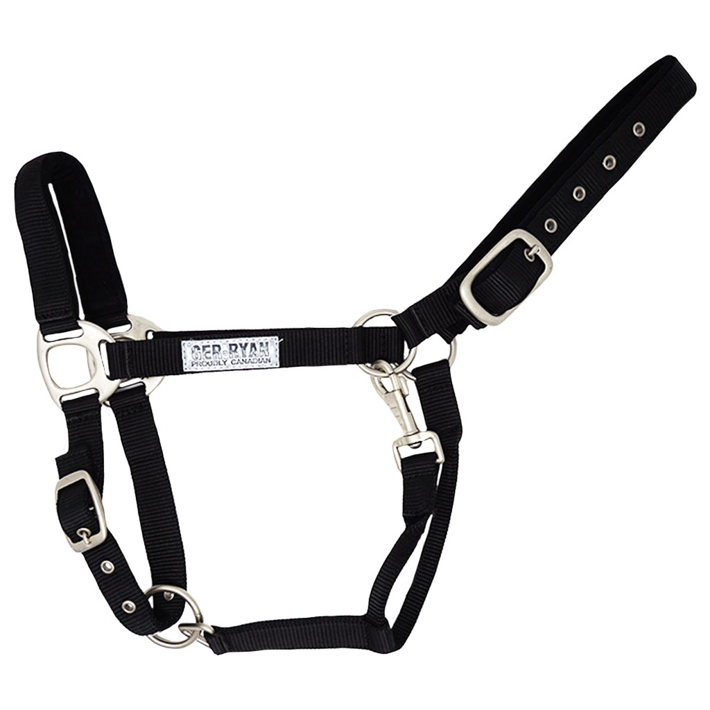 GER-RYAN NYLON HALTER PADDED COB BLACK