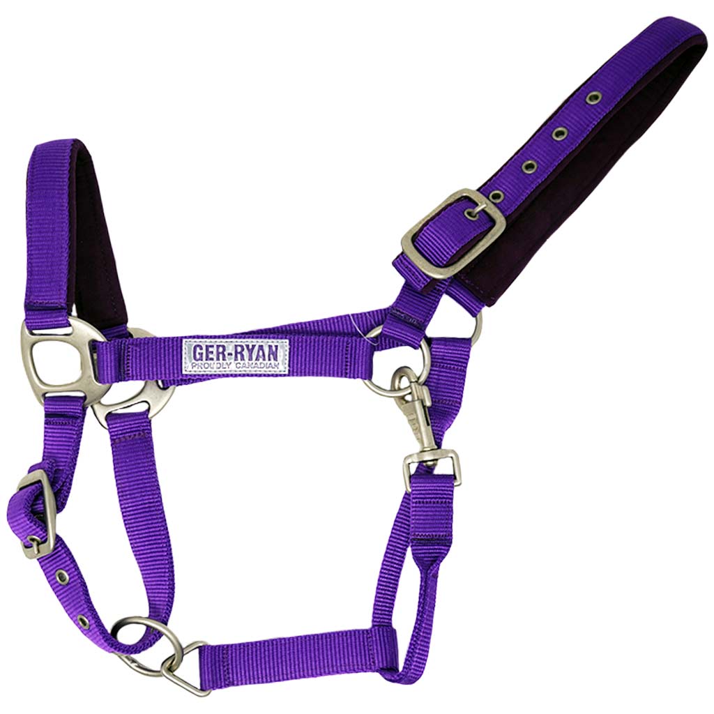 GER-RYAN NYLON HALTER PADDED COB PURPLE