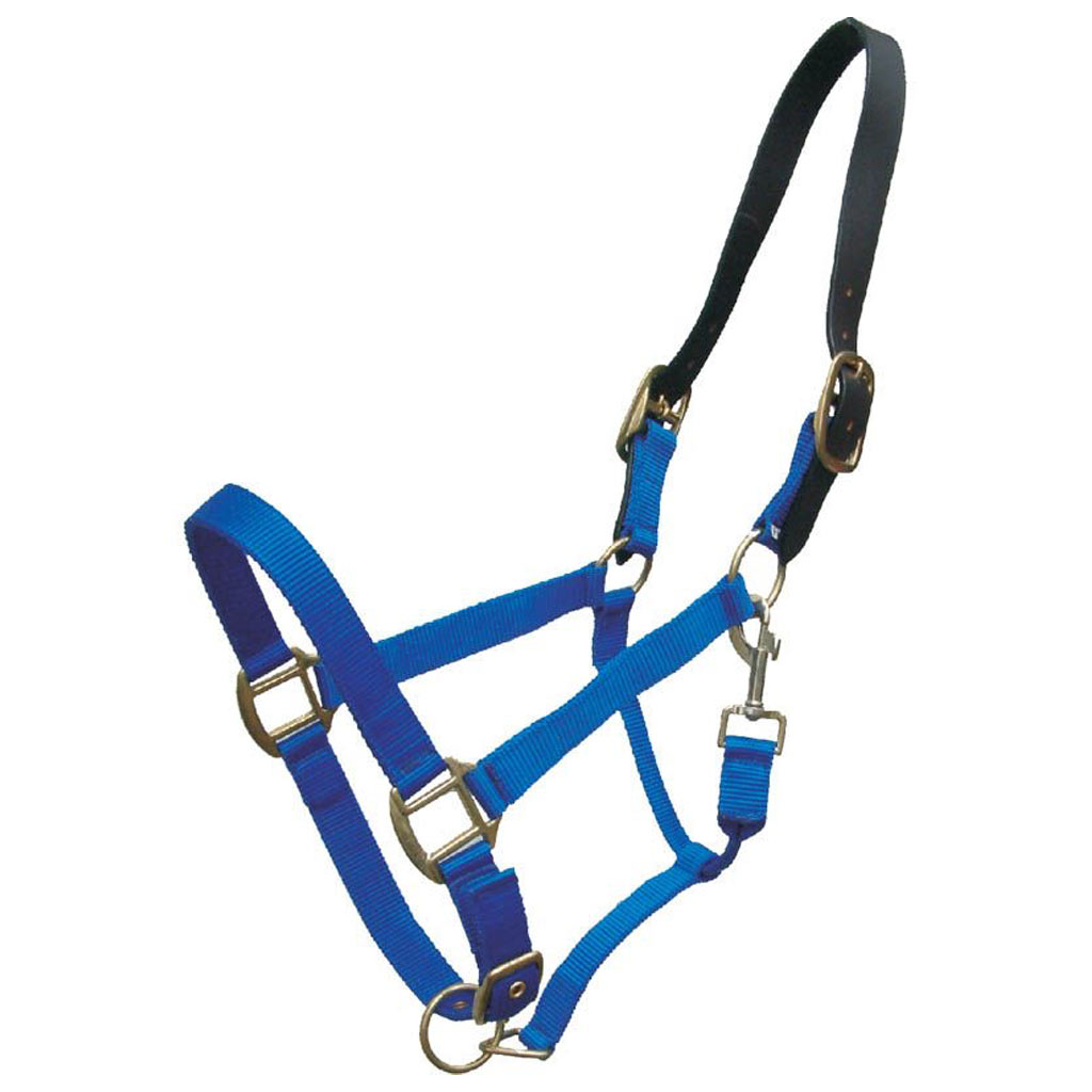 GER-RYAN NYLON HALTER W/ LEATHER BREAKAWAY FULL ROYAL BLUE