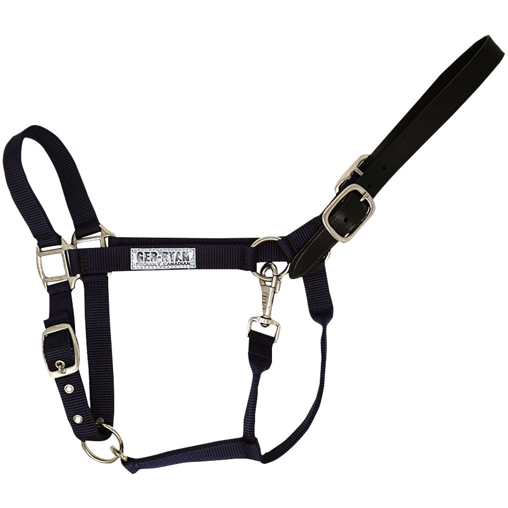 GER-RYAN NYLON HALTER W/ LEATHER BREAKAWAY COB BLACK