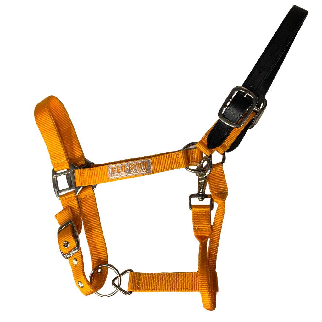 GER-RYAN NYLON HALTER W/ LEATHER BREAKAWAY COB ORANGE