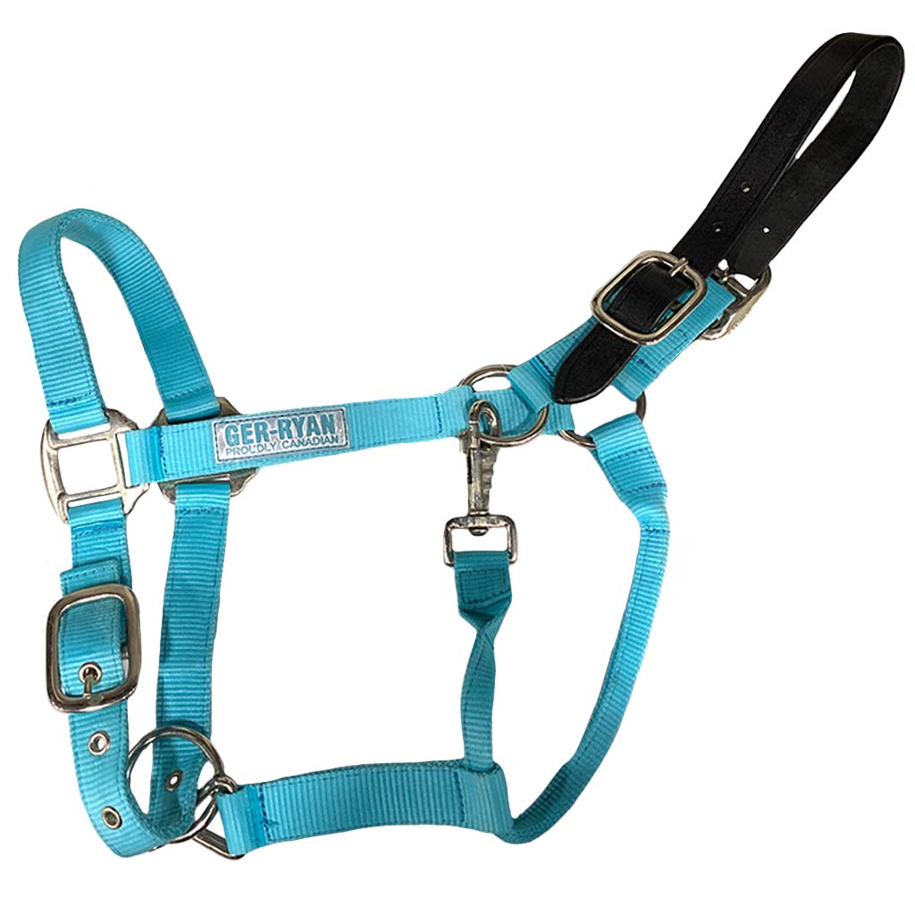 GER-RYAN NYLON HALTER W/ LEATHER BREAKAWAY COB TURQUOISE